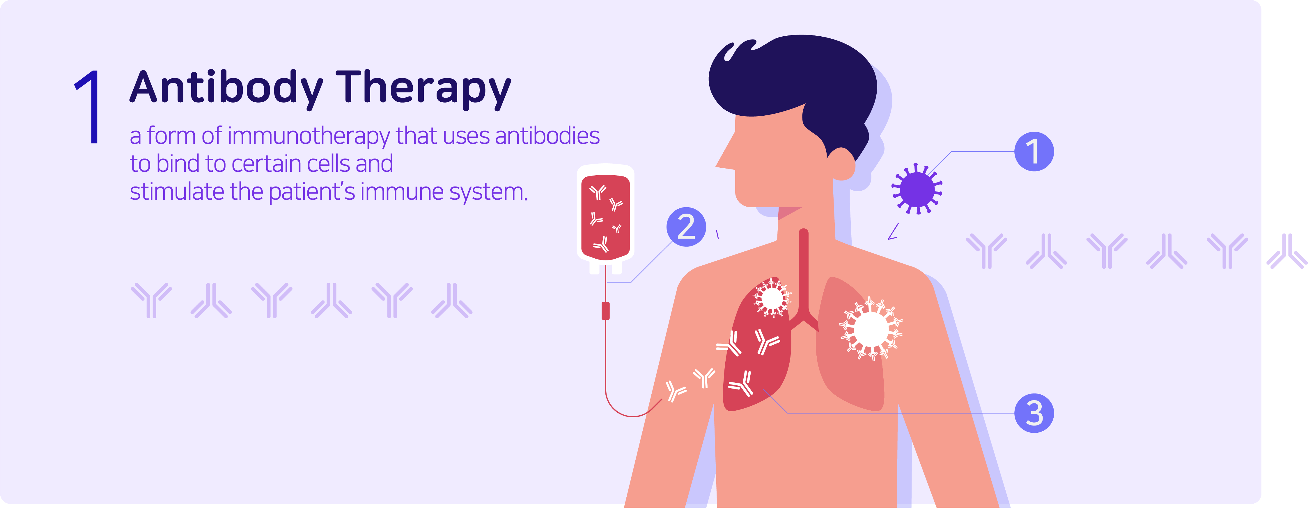 1. Antibody Therapy - a form of immunotherapy that uses antibodies to bind to certain cells and stimulate the patient's immune system.