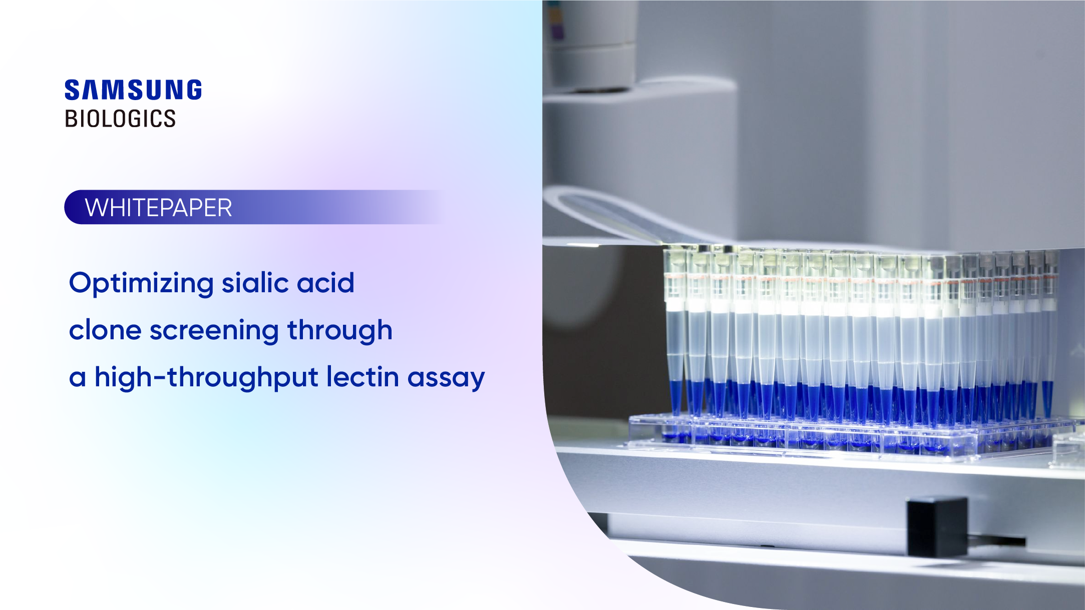 Whitepapers - Optimizing sialic acid clone screening through a high throughput lectin assay